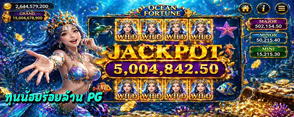 ทุนน้อยร้อยล้าน PG